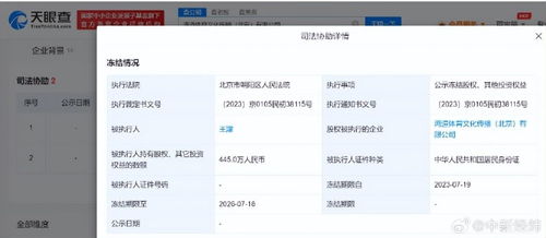 王濛445萬股權突遭凍結 昔日速滑女王跨界互聯網事業遇阻